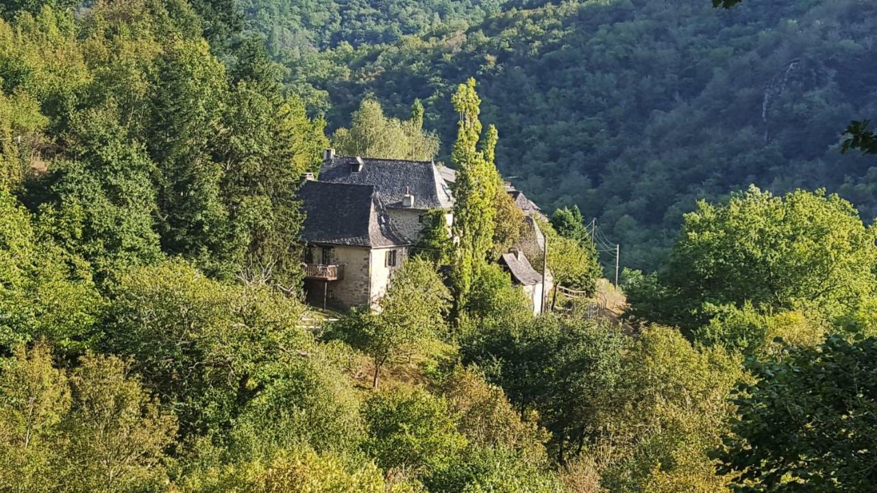 La Maisonnette Entraygues sur Truyere Bagian luar foto